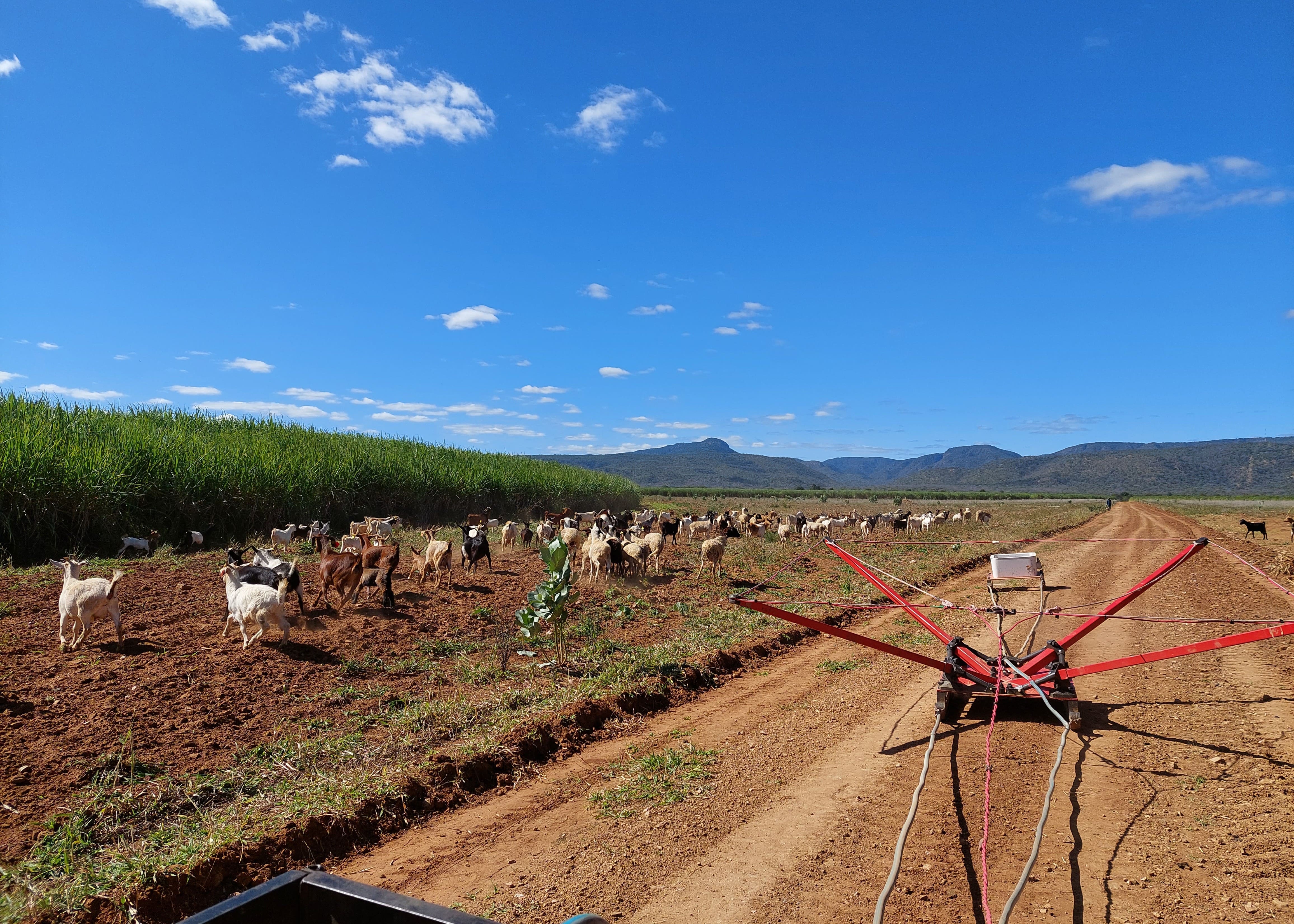 Alluvial Aquifers: Save River Valley, Zimbabwe